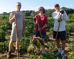 Ser voluntario de la huerta